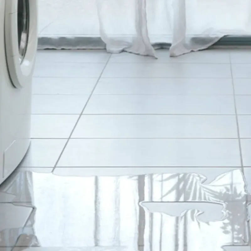 Appliance Leak Cleanup in Schlusser, PA