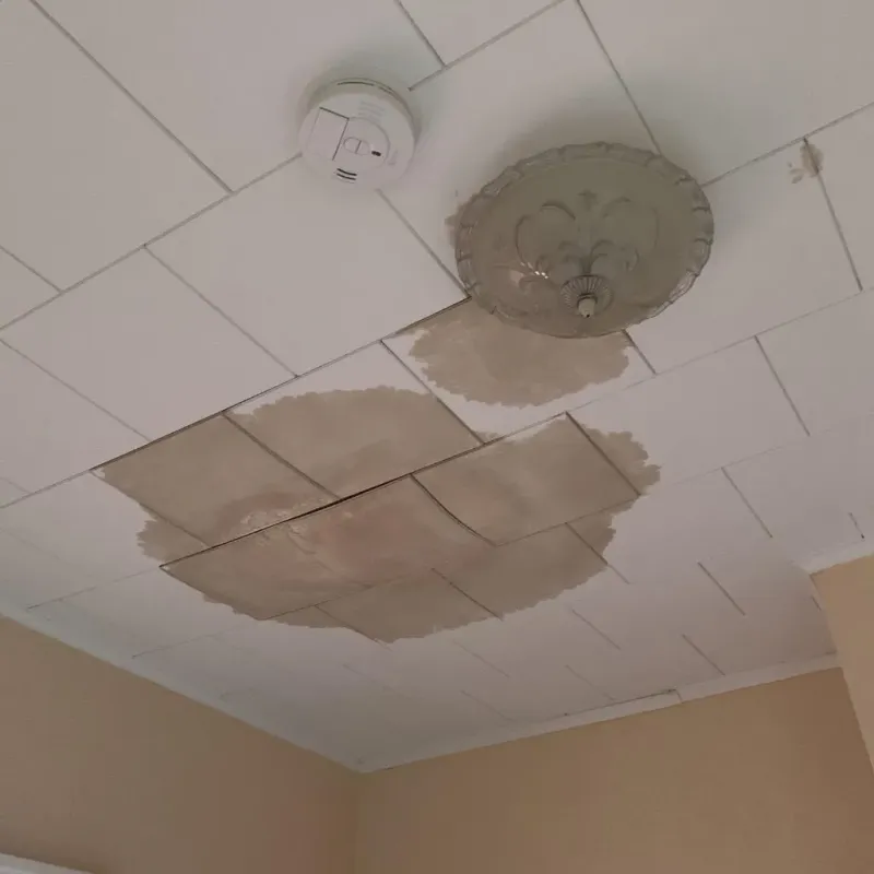 Ceiling Water Damage Repair in Schlusser, PA