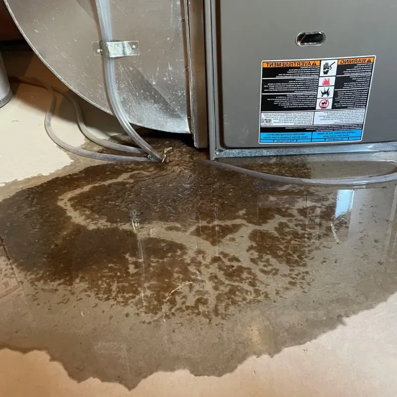 Pipe Burst and Leak Restoration in Schlusser, PA