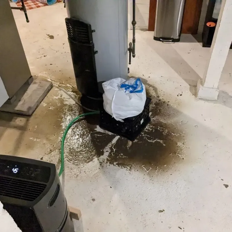 Sewage Backup Cleanup Service in Schlusser, PA